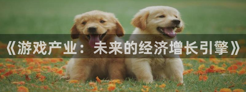 鼎点娱乐平台注册开户：《游戏产业：未来的经济增长引擎》
