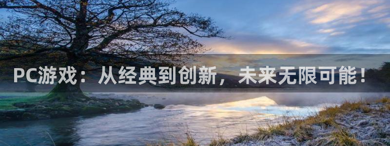 鼎点娱乐：PC游戏：从经典到创新，未来无限可能！