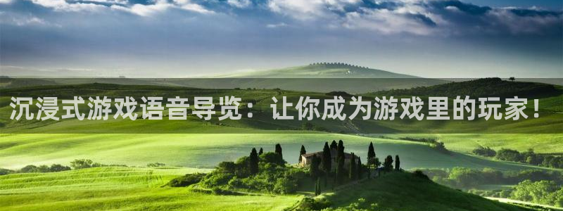 鼎点娱乐注册地址：沉浸式游戏语音导览：让你成为游戏里的玩家！