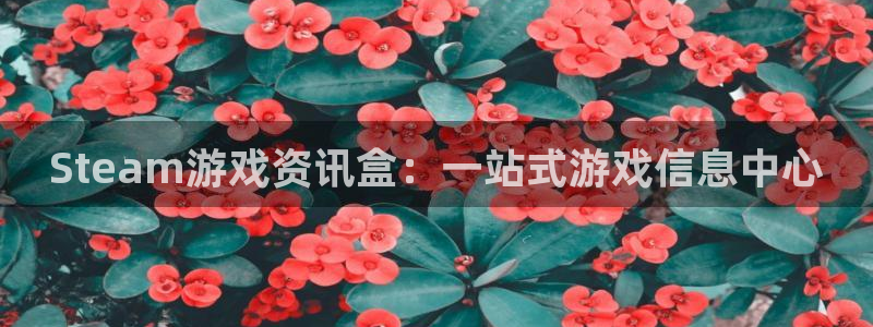 鼎点娱乐注册官方登录app：Steam游戏资讯盒：一站式游戏