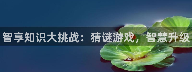鼎点娱乐登录网址：智享知识大挑战：猜谜游戏，智慧升级